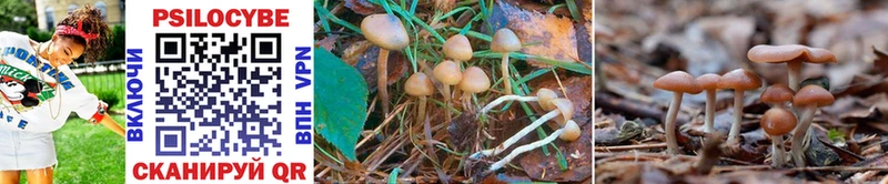 Купить закладки  Озёры  Псилоцибиновые грибы Magic Shrooms 